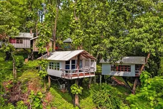Wooden cottages on stilts among tall trees