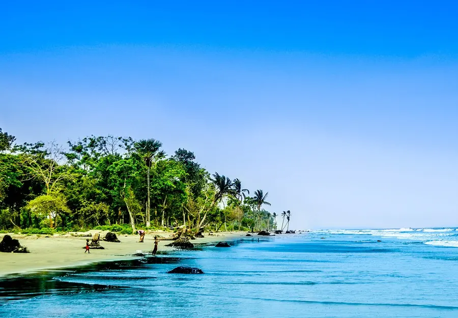 Palm trees along the beach at Kuakata, with people wading in the surf