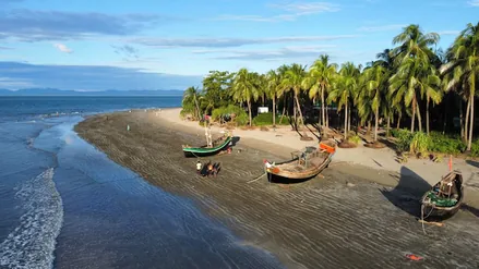 Fishing boats on a palm-lined beach at Saint Martin's Island