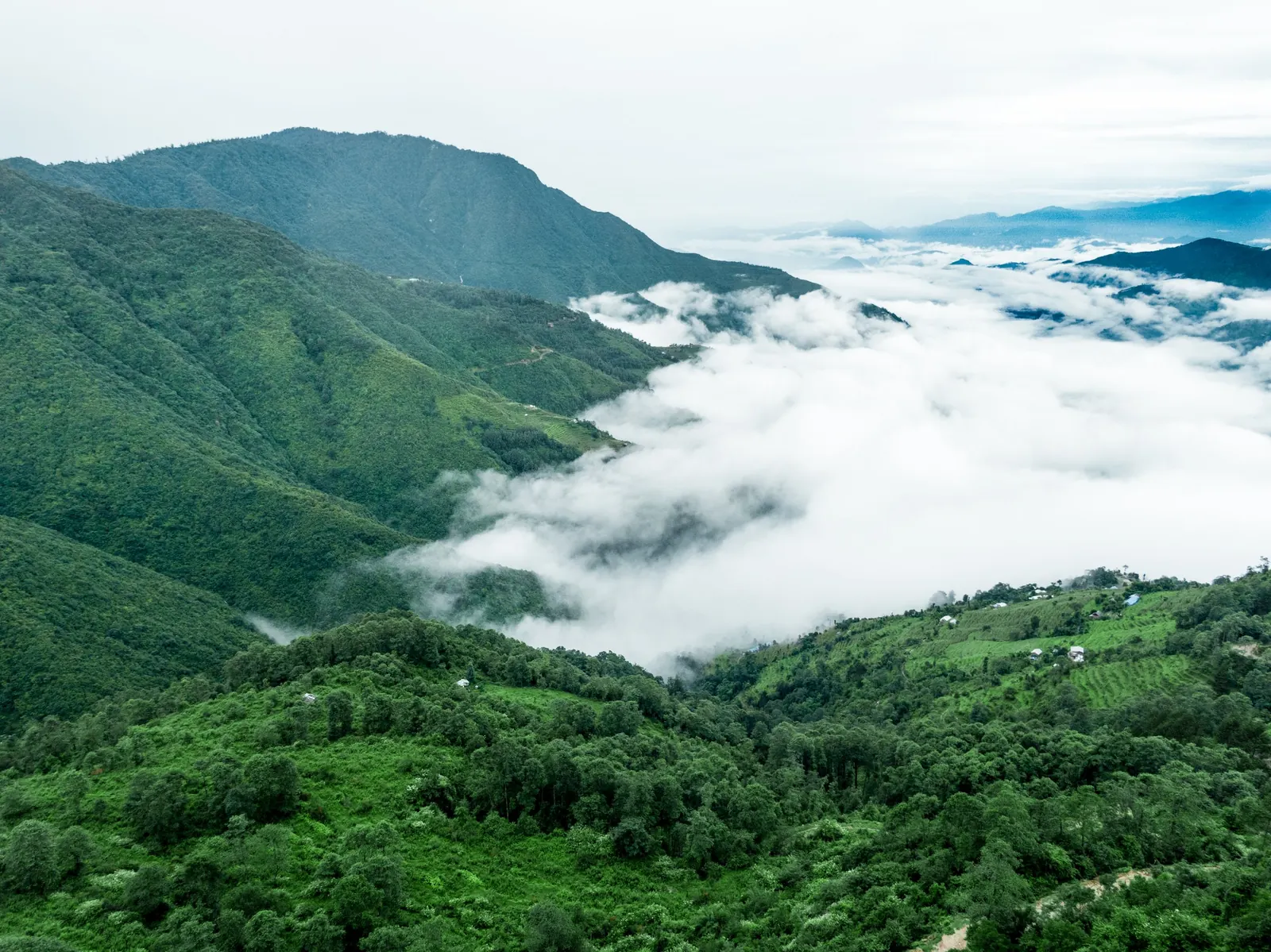 Clouds filling the valleys below the green hills of Sajek