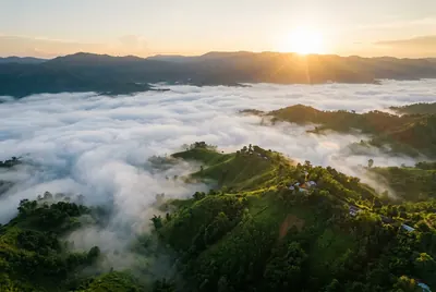 The sun rising over a sea of clouds between forested hills